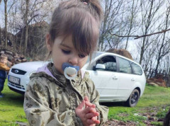 HGSS ponudila Srbiji pomoć u potrazi za dvogodišnjom devojčicom