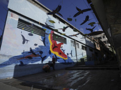 Urbane ptice širom sveta prepune bakterija otpornih na antibiotike