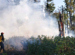 Za 24 sata evidentirano 135 požara na otvorenom, veći su ugašeni