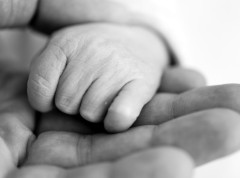 U Zagrebu sahranjena devojčica (3) čije telo je pronađeno u Savi na Novom Beogradu