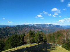 Cene zemljišta na planini Jelovici vrtoglavo rastu