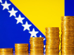 Godišnja stopa rasta potencijalnog BDP-a u BiH iznosi 3,6 odsto