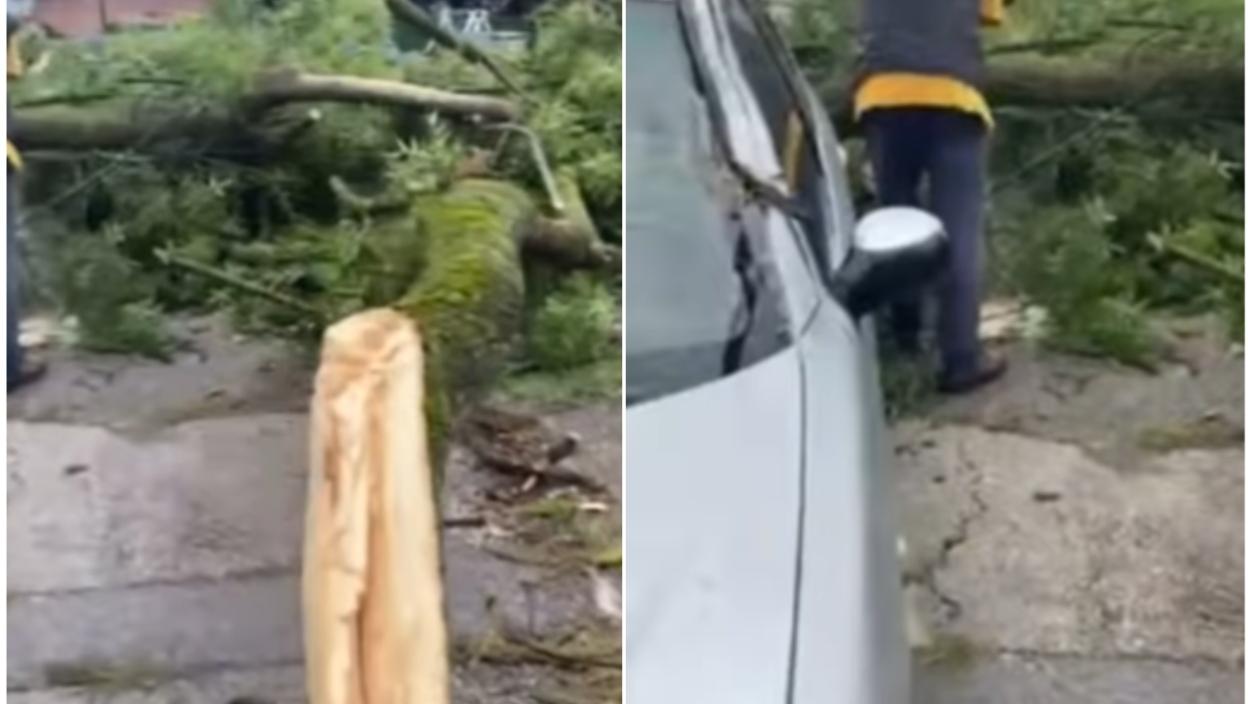 Stabla padala, automobili ulubljeni… Snimak iz Čačka posle nevremena je zastrašujuć (VIDEO)