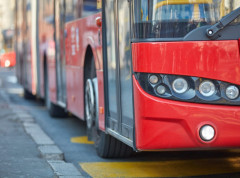 Režim rada linija GSP biće izmenjen zbog održavanja Trke 10K Beograd 2025
