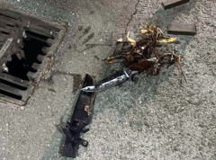 Uhapšen Novosađanin osumnjičen za ubistvo nožem ispred kafića na Detelinari