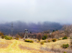 Rok za dostavu podataka o vrsti posla i iznosu za subvencije za lovišta 8. septembar