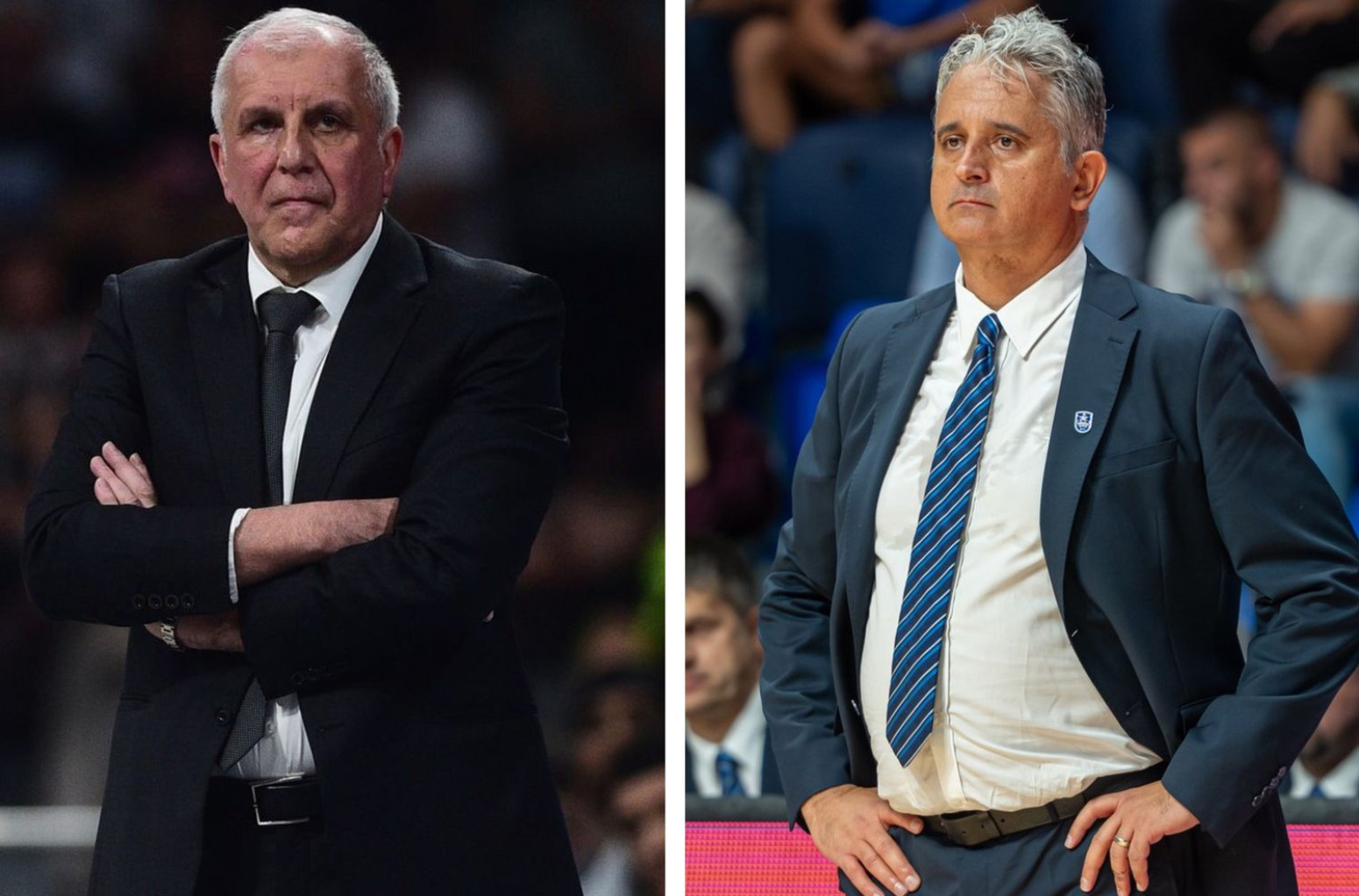 Partizan se suočava s Efesom u borbi za pobedu