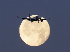 Koje su sve avio-kompanije pogođene prizemljenjem Erbasa A320?