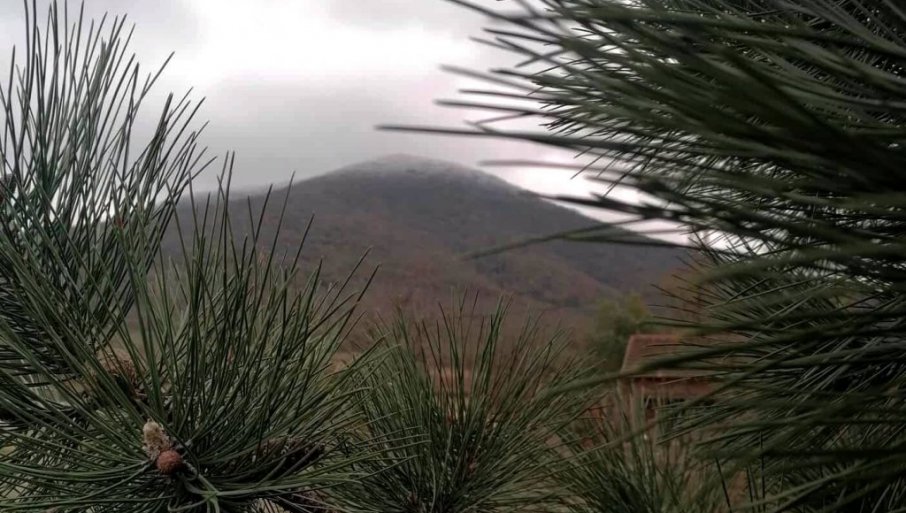 VRŠČANI OKUPILI SVOJE PREDSTAVNIKE U SKUPŠTINI VOJVODINE I UKAZALI IM NA NEZAKONITOSTI Poslanici