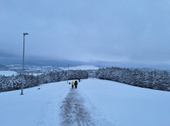 Otvaranje zimske sezone na Zlatiboru 26. decembra, praznici uz bogat program