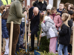 Posađeno 50 stabala Pančićeve omorike u dvorištu OŠ „Duško Radović“