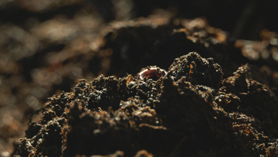 Inovativna biotehnologija za čišćenje zemljišta