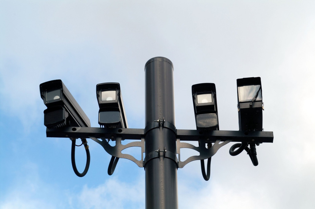 Žena iz Beča ostavila psa u Beogradu i pobegla