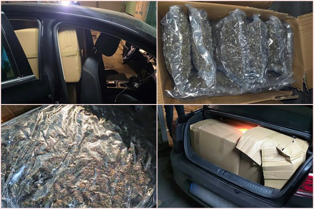 100 kilograma marihuane pronađeno u Beogradu