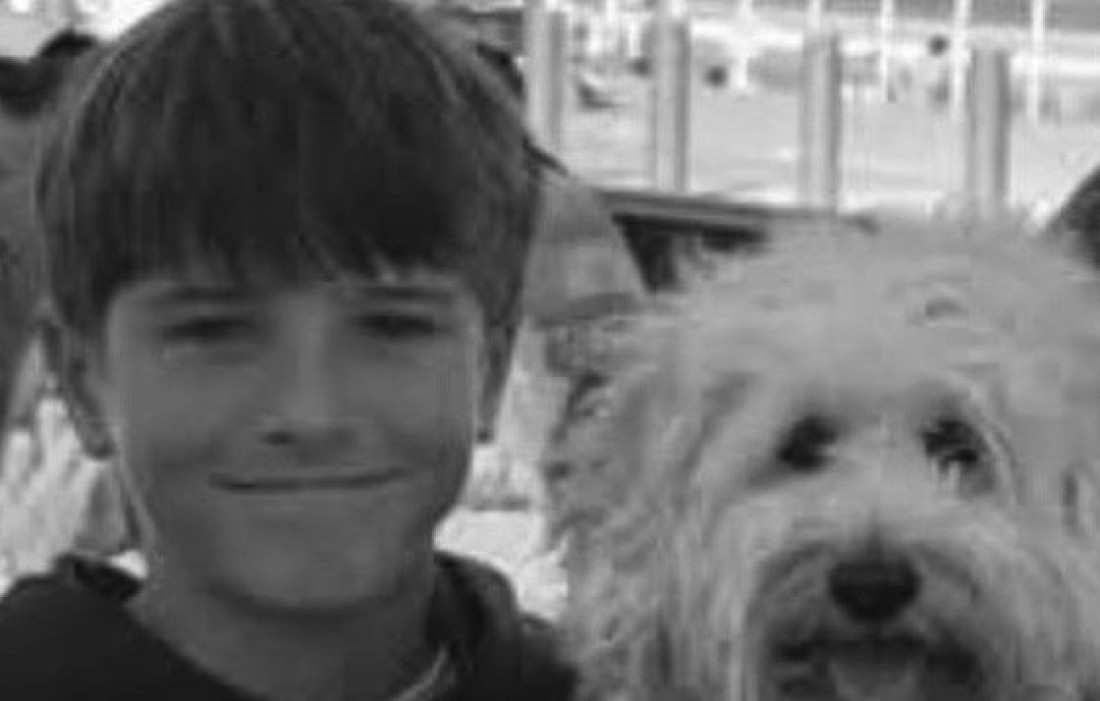 Mali Niko Antić izgubio bitku