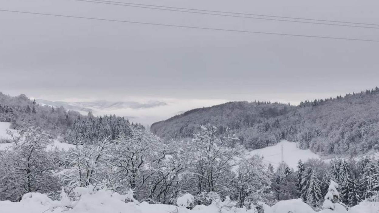 Predator skače, hvata je za vrat, scena je uznemirujuća: Jeziv snimak sa SRPSKE PLANINE