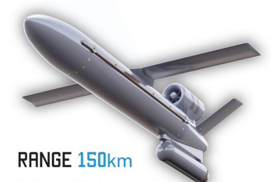 U Srbiji razvijena moderna krstareća raketa dugog dometa Goshawk