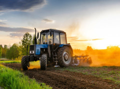 U Srbiji u jesenjoj setvi zasejano 842.347 hektara, 5,5% više nego 2024.