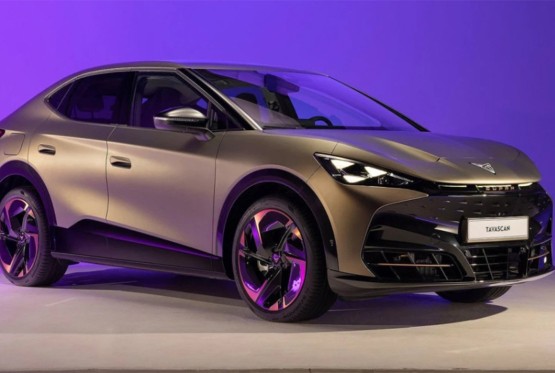 Model auta iz Kine koji je oslobođen carina u Evropi