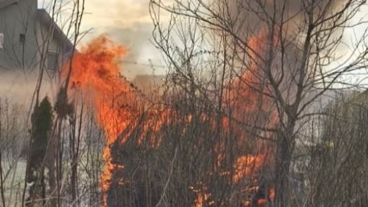 Požar u Novom Sadu: Proširila se vatra sa niskog rastinja na šupu sa ogrevom