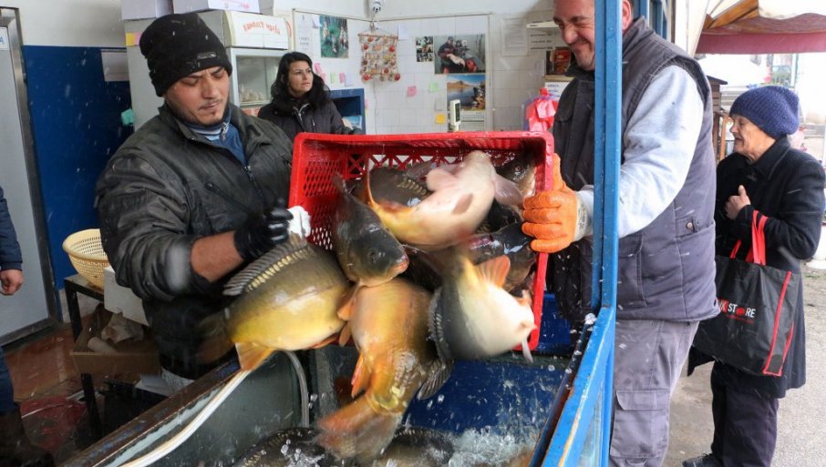 Površine pod ribnjacima drastično smanjene u poslednje tri decenije