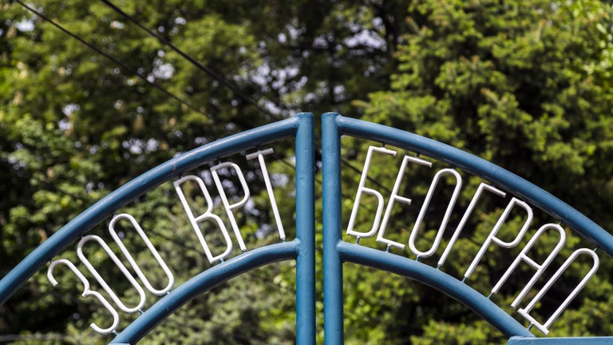 Uginula foka Bert, u toku obdukcija „Posetioci svašta bacaju u vodu, više puta smo je spasavali…“