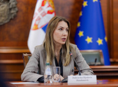 Nisu laki pregovori sa MOL-om, preko crvenih linija ne možemo da pređemo