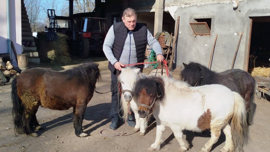 Tri ljubavi Zorana Milićevića, poljoprivrednika iz okoline Paraćina (FOTO)