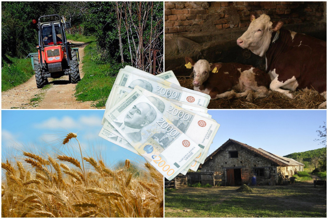 Pokrajina daje do 3 miliona dinara za farme i opremu